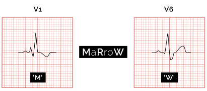 MARROW